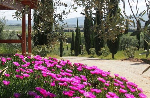 Follonica Apartment | Cosy apartment for 6 people with TV, patio, panoramic view and parking