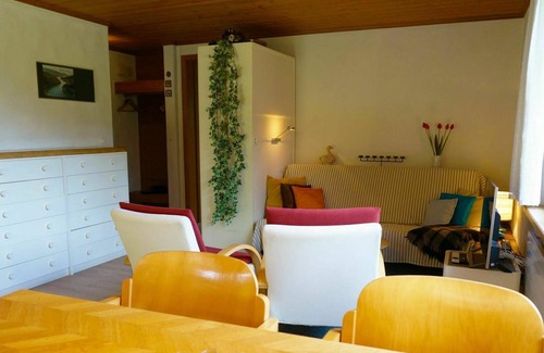 Saanenmoeser Apartment | Cosy apartment for 6 people with WIFI, TV, balcony, pets allowed and parking