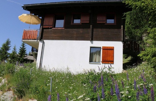 Bettmeralp Apartment | Cosy apartment for 6 guests with WIFI, TV and balcony