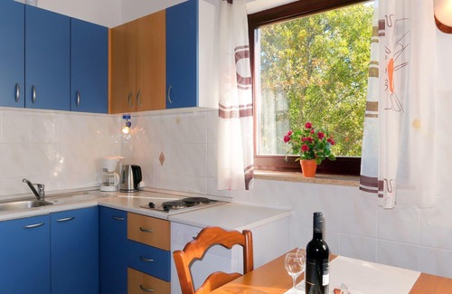 Sveti Vid Dobrinjski Apartment | Cosy apartment for 4 people with WIFI, A/C, pool, TV, patio and pets allowed