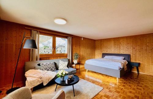 Schoenried Apartment | Cosy appartment 10 min from Gstaad with stunning view