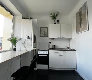 Siauliai City Center Apartment | Cosy little studio
