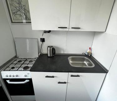 Siauliai City Center Apartment | Cosy little studio