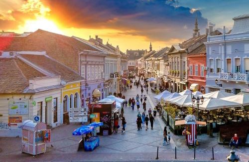 Grbavica Apartment | Cosy Novi Sad loft city center II