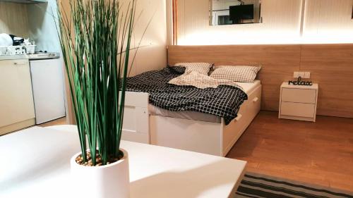 Grbavica Apartment | Cosy Novi Sad loft city center II
