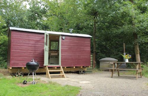 Acton Scott House | Cosy Shepherd's Hut with Hot Tub