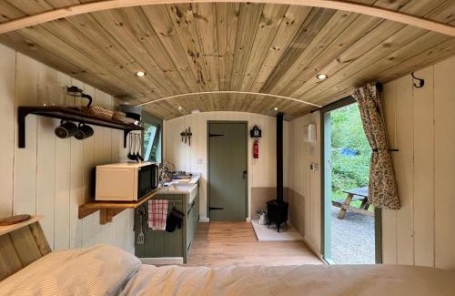 Acton Scott House | Cosy Shepherd's Hut with Hot Tub