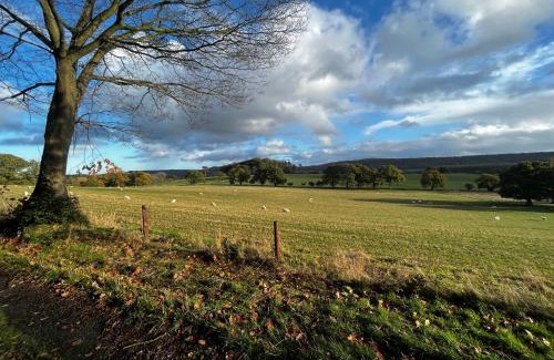 Acton Scott House | Cosy Shepherd's Hut with Hot Tub