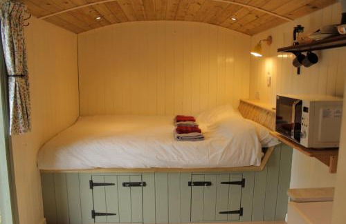 Acton Scott House | Cosy Shepherd's Hut with Hot Tub