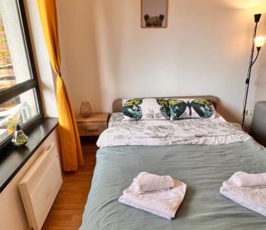 Razlog Apartment | Cosy studios with mountain view near Bansko