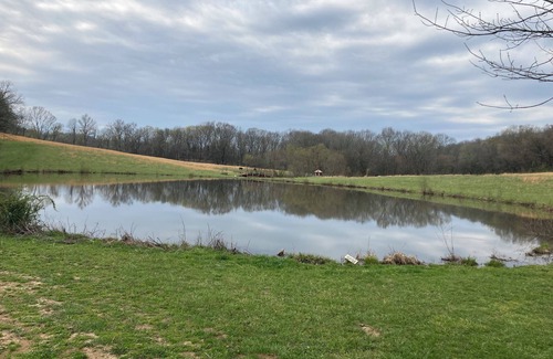 Woodbury House | Cosy Trailer in a Private Delightful Location on a 175 Acre Art Farm in TN