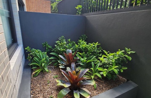 Kingsford Apartment | Cosy Unit Near Light Rail