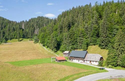Gorje Ski Chalet | Cottage House Podgosar Bled Pokljuka