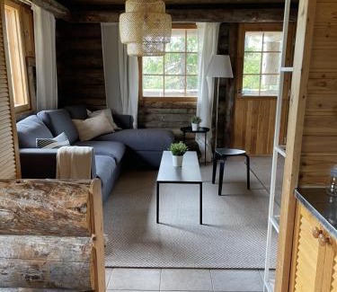 Syote Apartment | Cottage Kurmitta Iso-Syöte