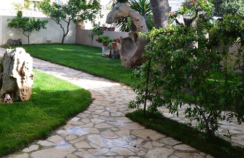 Arzachena House | Cottage The Olive Trees -B- Studio apartment with garden