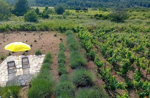 Vela Luka House | Cottage the Quiet