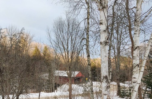 Morrisville Cottage | Country Cottage with Deck, Sunroom/Patio, W/D, & Free WiFi - Dog-Friendly
