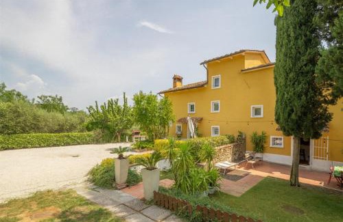 Giugnano House | Country House Casalguidi 191 Private Pool