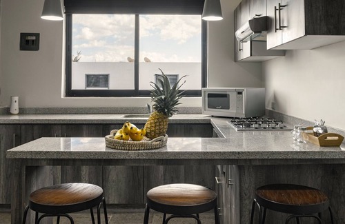 Aguascalientes Apartment | Coyotes Housing Services