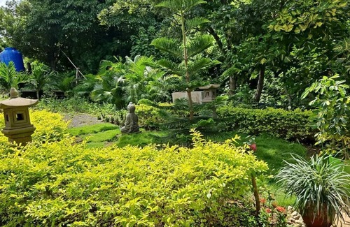 Managua Apartment | Cozy 1-bedroom apartment in awesome Managua with WiFi