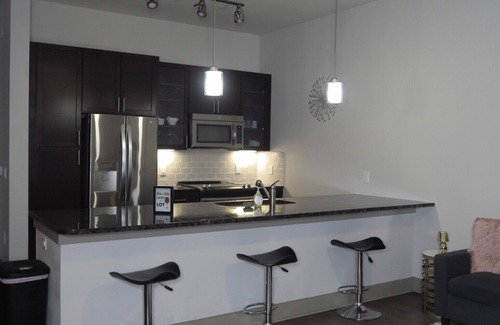 East Downtown Houston Apartment | Cozy 1-bedroom apartment in beautiful Downtown Houston with WiFi,