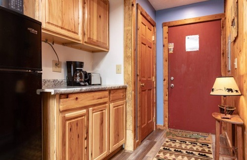 Davis Apartment | Cozy 1-bedroom Inn Suite in enchanting Canaan Valley, WV with WiFi, AC and Pool