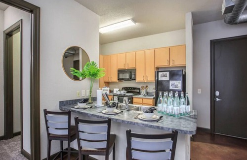 University Apartment | Cozy 1-bedroom with AC, WiFi in enjoyable Tampa