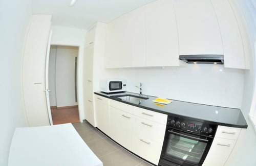 Muhlebach Apartment | Cozy 1BR near lake with balcony (Mill 4.22)