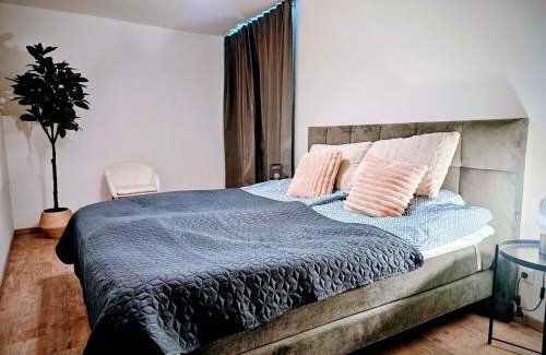 Innenstadt Apartment | Cozy 2-room apartment in the historic cathedral district