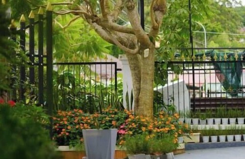 Phuong 10 House | Cozy 2-storey house for more than the whole family
