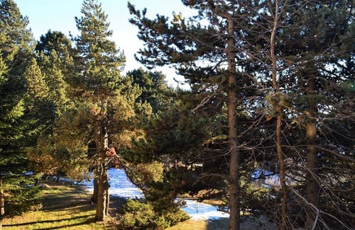 Font-Romeu-Odeillo-Via Apartment | Cozy 3-Room Apartment for 6 in Forest Setting with Parking - Font-Romeu