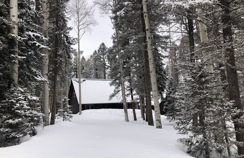 Cimarron Cabin | Cozy 3Bed 2Bath Cabin - Lodge/Snowmobile/UTV Rental Nearby