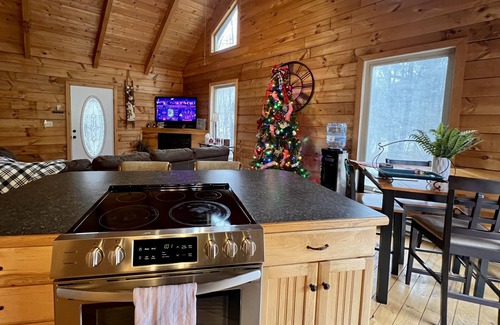 Mace Cabin | Cozy 4 Bedroom Log Cabin Getaway near Snowshoe, West Virginia With Hot Tub