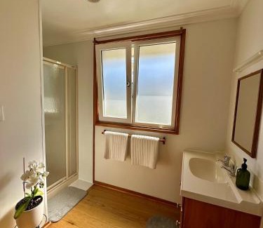 Dunedin Apartment | Cozy and quiet studio apartment with shared hot tub