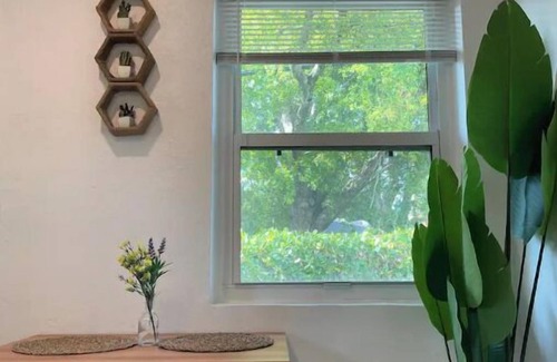Northeast Miami Apartment | COZY AND RELAXING MINI STUDIO IN CENTRAL MIAMI!