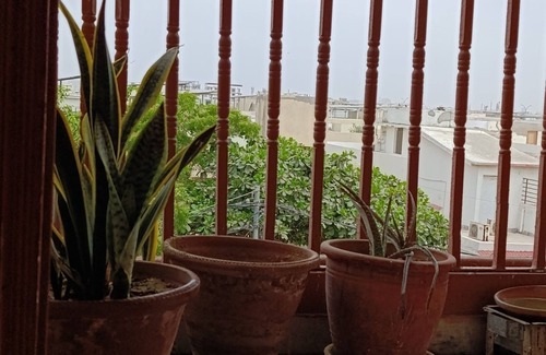 Karachi Apartment | Cozy and Zen home stay at a prime location. Pet-Friendly