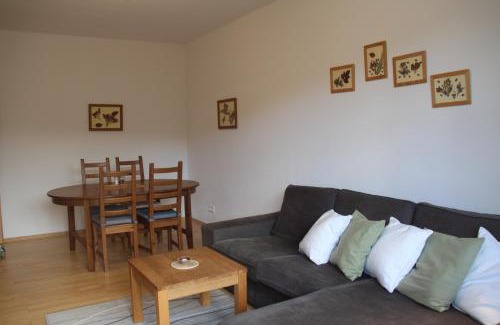 Spindleruv Mlyn Apartment | Cozy apartment in Bedřichov - Špindlerův Mlýn
