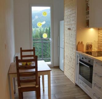 Spindleruv Mlyn Apartment | Cozy apartment in Bedřichov - Špindlerův Mlýn