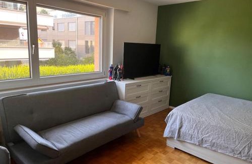 Lachen Apartment | Cozy apartment in Lachen