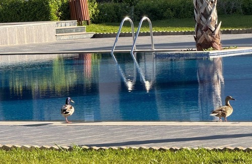Bouznika Apartment | Cozy aprt on the coast of bouznika morocco