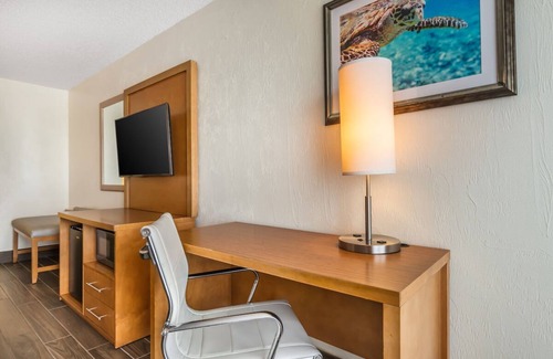 Seabreeze Park Hotel | Cozy Beachfront Stay | Blend of Relaxation & Exciting Coastal Activities