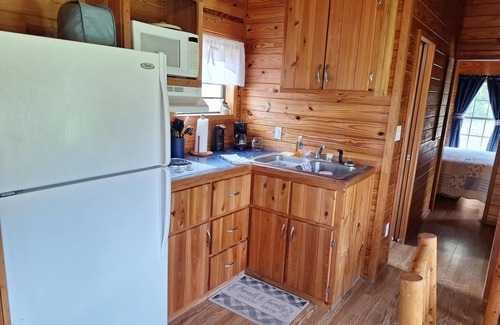 Oriental Cabin | Cozy cabin #2 on Neuse River in charming Oriental