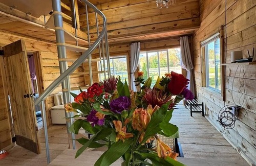 Catskill Cabin | Cozy cabin in phenomenal Catskill with Mountain Views Farm animals and Creek