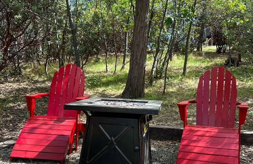 Idyllwild Cabin | Cozy cabin close to town! Perfect couples getaway. EV Charger