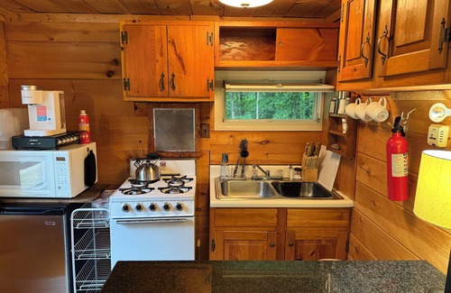 Bartlett Cabin | Cozy Cabin with AC, WiFi, Fireplace, Hot Tub