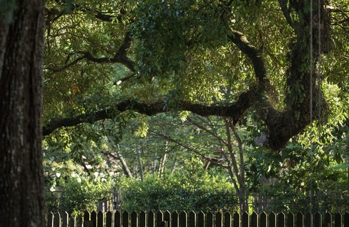 Lafayette Cabin | Cozy Cajun Cabin two blocks from the Parade Route or Downtown Lafayette