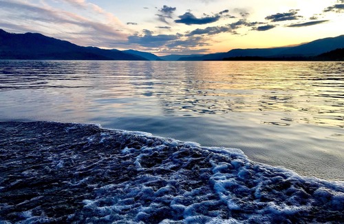 Anglemont Cabin | Cozy Cariboo Cabin - Shuswap Vacations and Sledding Accommodation