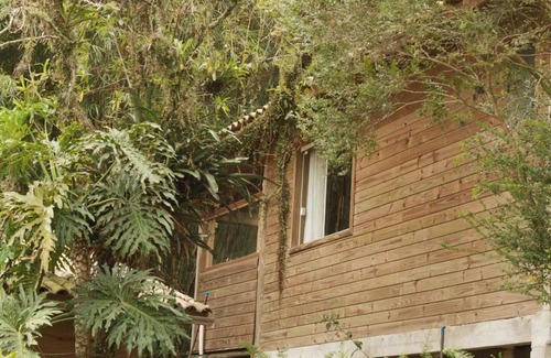Praia do Rosa House | Cozy chalet immersed in native forest close to the beach and downtown Rosa!
