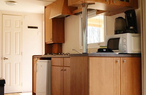 Appelscha House | Cozy Chalet in Appelscha near the woods