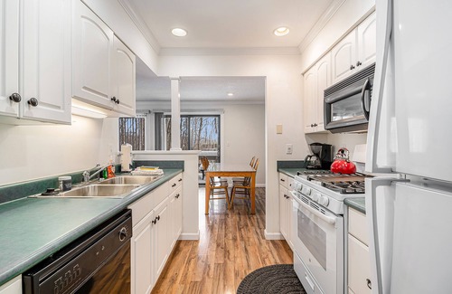 Harbor Springs Condo | Cozy Condo with Shared Pool & Tennis, Fast WiFi, Private Deck & Gas Fireplace